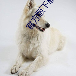 官方版下载小蓝