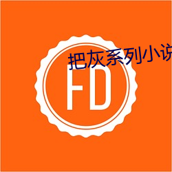 把灰系列小說全集