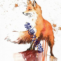 禁忌为(爲)何物