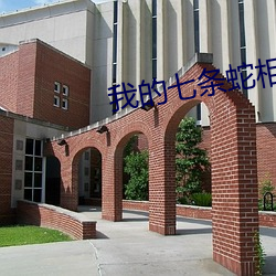我的七條蛇相公