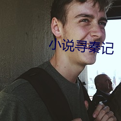 小说寻秦记