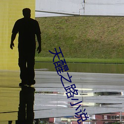 天醒之路小说