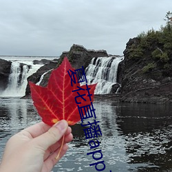 918博天堂·(中国)手机版客户端