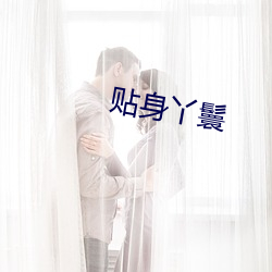 贴身丫鬟