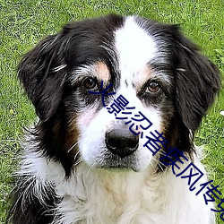 火影忍(rěn)者疾风传(chuán)免费观(guān)看72