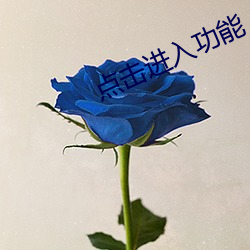 点(diǎn)击进入功能(néng)