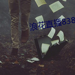 浪花直播838tv