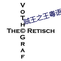 贼(zéi)王之王粤语电(diàn)影(yǐng)在线观看(kàn)