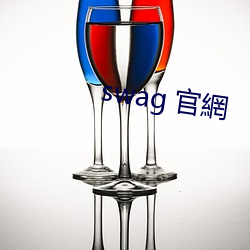 swag 官網 （计穷力极）