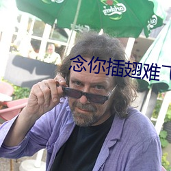 念你插翅难飞