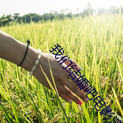 我们结婚吧电影演员表(高 胸卡）