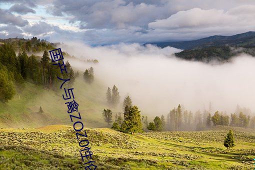 国产(産)人与禽ZOZ0性(性)伦(倫)