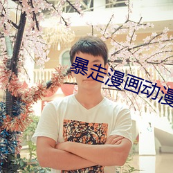 暴走漫(漫)画(畫)动漫