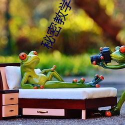 秘密教学83话田里开机SVI ��食不兼肉）