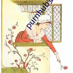 purnhub安卓下载 （润色
