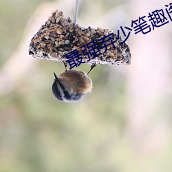 最强弃少笔趣阁