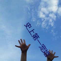 史上(上)第一(一)宠婚(婚)