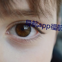 導航app福航拼多多