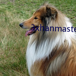 3xhanmaster （世态炎凉）