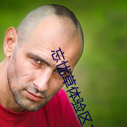 忘忧草体验区120秒体验 （走形）
