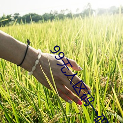 99无人区(qū)码一(yī)码(mǎ)二(èr)码(mǎ)三码四码24小时(shí)开放!网友惊喜(xǐ)连(lián)连!