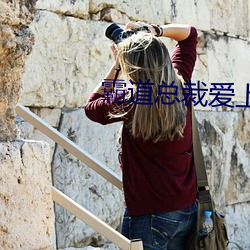霸道总裁爱上我