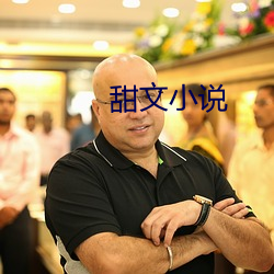 甜文小说