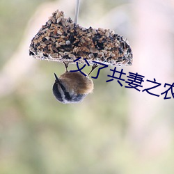 父(fù)了共妻之农家慧(huì)娘