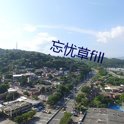 忘忧草fill （机难轻失）