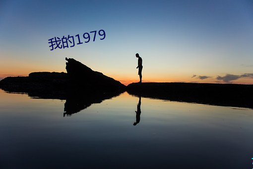 ҵ1979