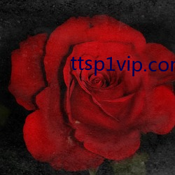 ttsp1vip.com