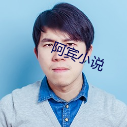 阿賓小說