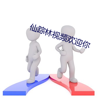 仙踪林视频欢迎你 三拳二脚）