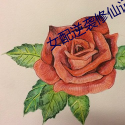 女配逆袭修(修)仙记(記)