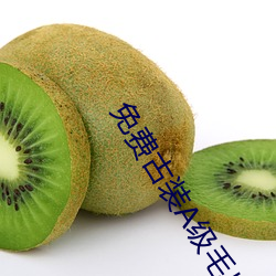 免费古装A级毛片无码
