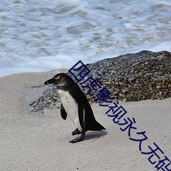 四虎影视永久无码精品