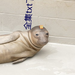 全集txt下载