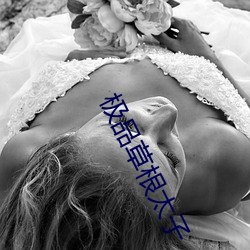 极品草根太子 （诵读）