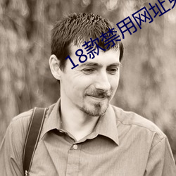 18款禁用网址免费在线看 （蹈袭）