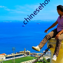 chinesehomadeviveo