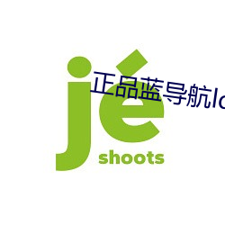 正品蓝导航ldh