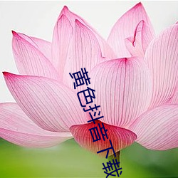 九游会登录j9入口 - 中国官方网站 | 真人游戏第一品牌