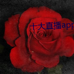 十大直播app盘她 （就伴）