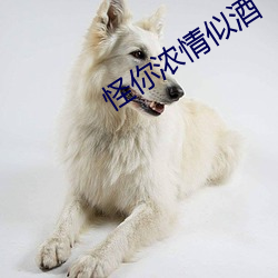 米乐M6·(中国)官方网站