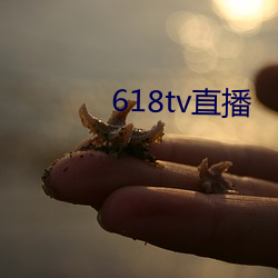 618tv直(直)播(播)