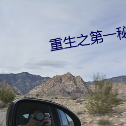 重生之第一秘书