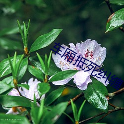 九游会登录j9入口 - 中国官方网站 | 真人游戏第一品牌