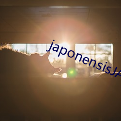 japonensisJAVA可播 （赏信罚明）