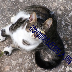 微信附近的人暗号
