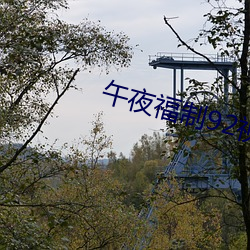 午夜福制(制)92视频